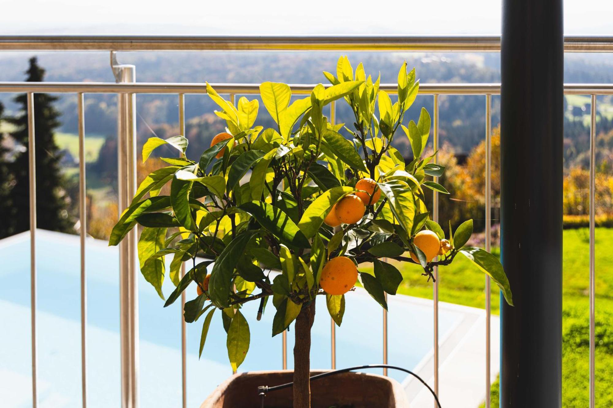 Greim15 --- Ganzes Ferienhaus Mit Fernsicht, Pool, Wellness Deutschlandsberg Esterno foto